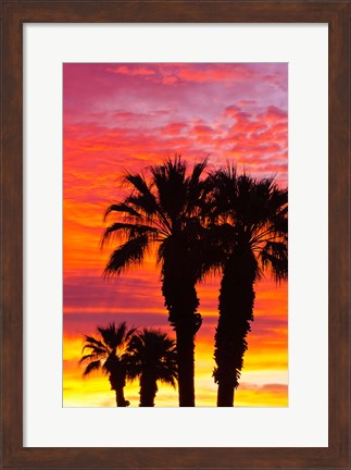 Framed Silhouetted Palms At Sunrise Print