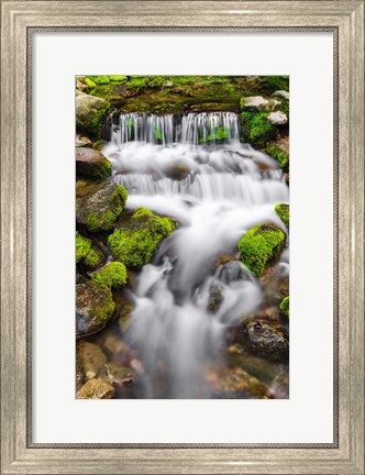 Framed Fern Spring, California Print