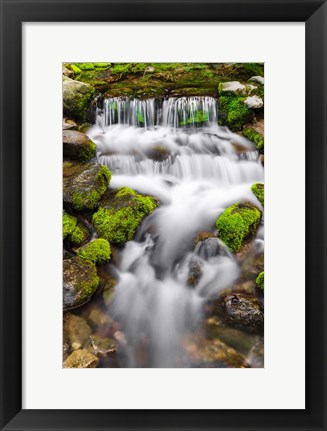 Framed Fern Spring, California Print