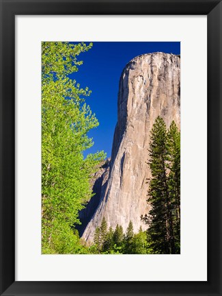 Framed Morning Light On El Capitan Print