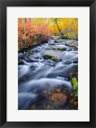 Framed Autumn Colors Along Lundy Creek Print