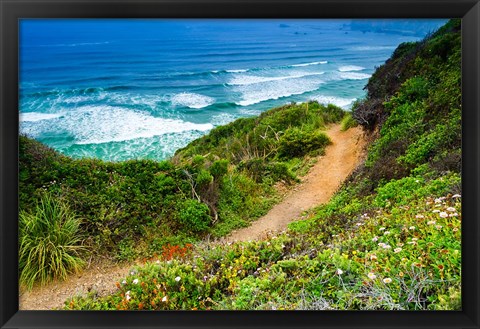 Framed Dirt Trail To Sand Dollar Beach Print