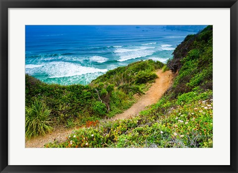 Framed Dirt Trail To Sand Dollar Beach Print