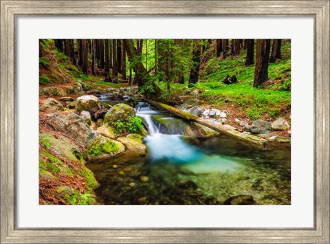 Framed Hare Creek Print