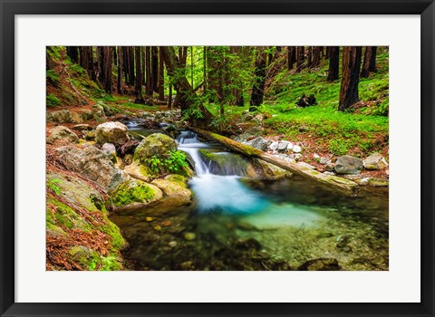 Framed Hare Creek Print