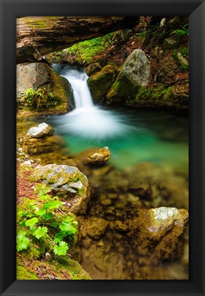 Framed Small Cascade On Hare Creek Print