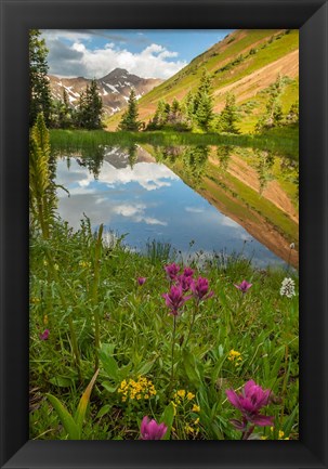 Framed Paradise Divide Pond Reflection Print