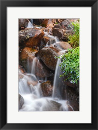 Framed Close-Up Of Cascade And Chiming Bells Flowers Print