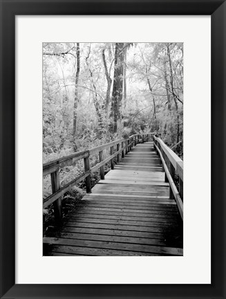 Framed Big Bend Board Walk, Florida (BW) Print