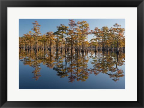 Framed Pond Cyprus In Early Morning Light, Georgia Print