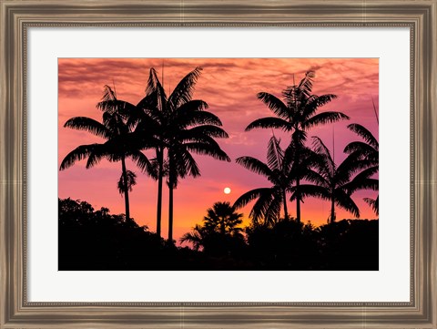 Framed Sunset Through Silhouetted Palm Trees, Kona Coast, Hawaii Print