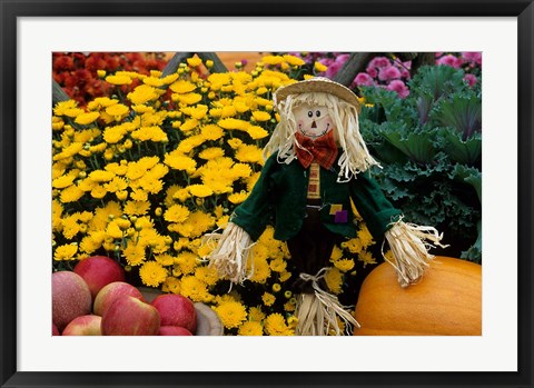 Framed Fall Garden Display, Illinois Print