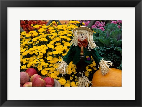 Framed Fall Garden Display, Illinois Print