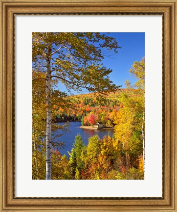 Framed Wyman Lake In Autumn, Maine Print