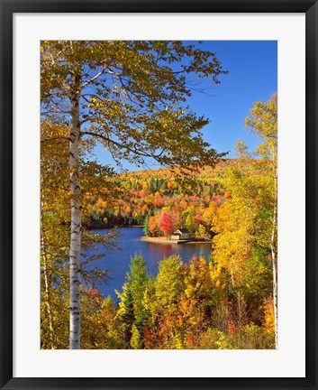 Framed Wyman Lake In Autumn, Maine Print