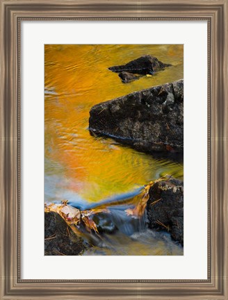 Framed Abstract River, Acadia National Park, Maine Print