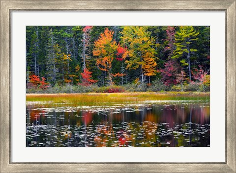 Framed Somes Pond In Autumn, Somesville, Maine Print