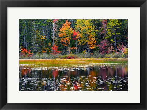 Framed Somes Pond In Autumn, Somesville, Maine Print