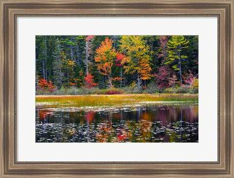 Framed Somes Pond In Autumn, Somesville, Maine Print