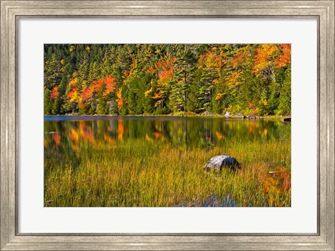 Framed Autumn Reflections In Bubble Pond, Acadia National Park, Maine Print