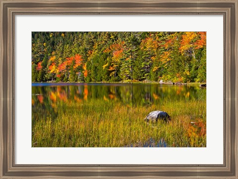 Framed Autumn Reflections In Bubble Pond, Acadia National Park, Maine Print