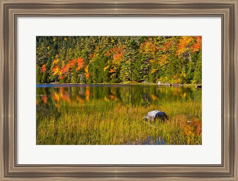 Framed Autumn Reflections In Bubble Pond, Acadia National Park, Maine Print