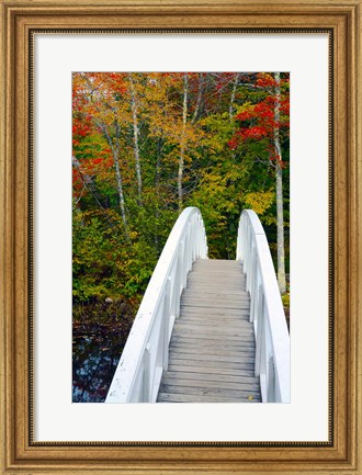 Framed White Footbridge Path, Maine Print