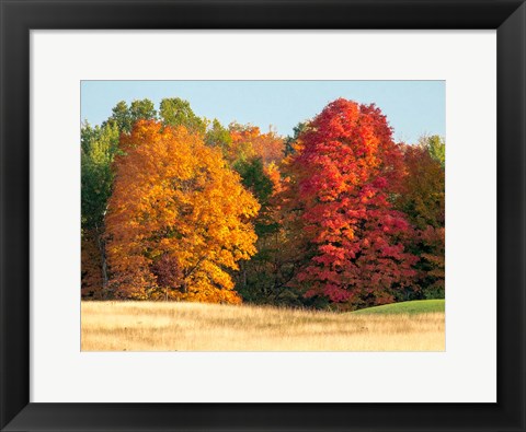 Framed Autumn In The Upper Peninsula Of The Hiawatha National Forest Print