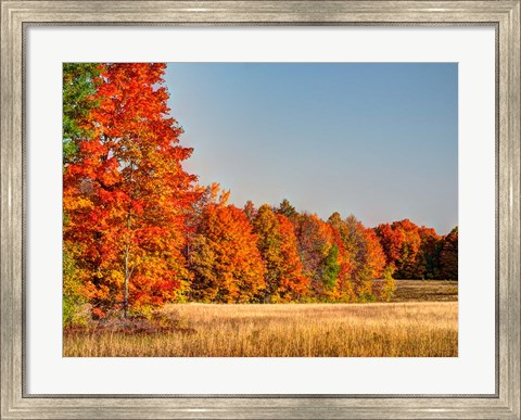 Framed Fall Colors Of The Hiawatha National Forest Print