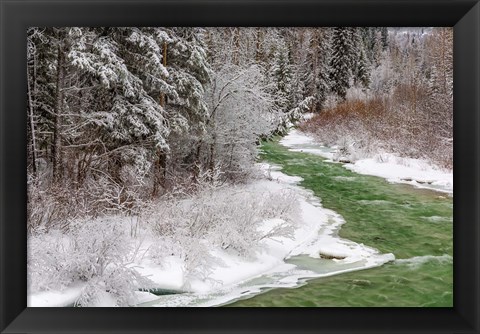 Framed Coal Creek In The Winter, Montana Print