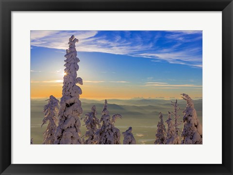 Framed Snowghosts In Whitefish, Montana Print