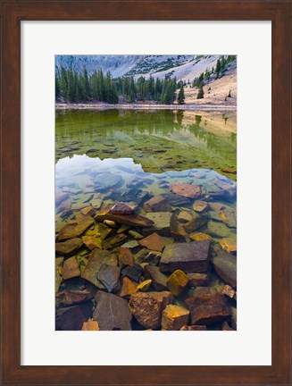 Framed Stella Lake, Great Basin National Park, Nevada Print