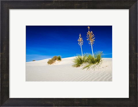 Framed Soaptree Yucca And Dunes, White Sands National Monument, New Mexico Print