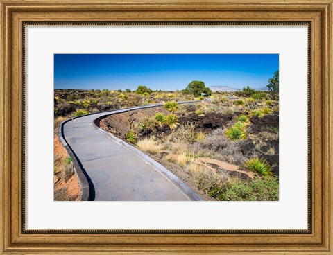 Framed Malpais Nature Trail, New Mexico Print