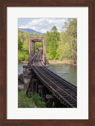 Framed Abandoned Railroad Trestle, North Carolina Print