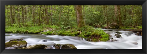 Framed Panoramic Of Straight Fork Creek In Spring, North Carolina Print