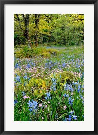 Framed Wildflowers In Camassia Natural Area, Oregon Print