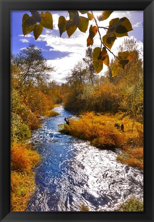 Framed Scenic View Of Dieckman Creek, Oregon Print