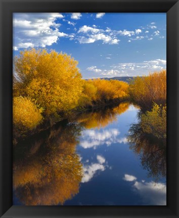 Framed Donner And Blitzen River Landscape, Oregon Print