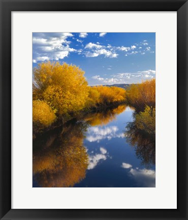 Framed Donner And Blitzen River Landscape, Oregon Print