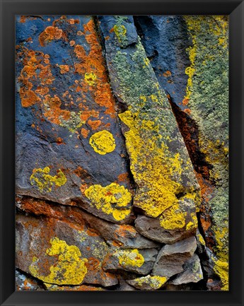 Framed Lichen Covered Basalt Rock, Oregon Print