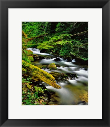 Framed Still Creek, Oregon Print