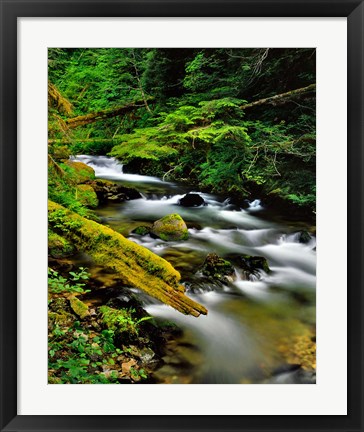 Framed Still Creek, Oregon Print