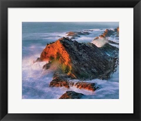 Framed Shore Acres State Park Sunset, Oregon Print