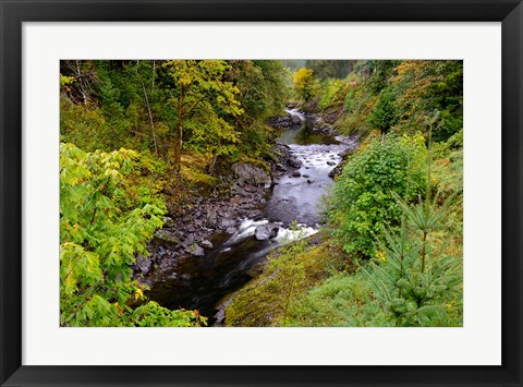 Framed Wilson River Landscape, Oregon Print