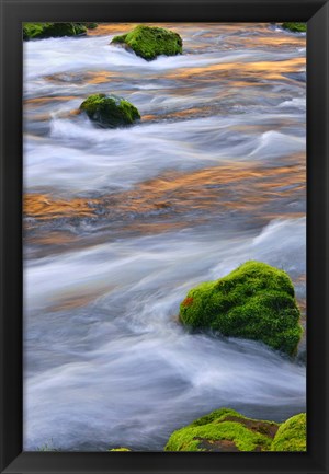 Framed Mmoss-Covered Rocks In The Mckenzie River, Oregon Print