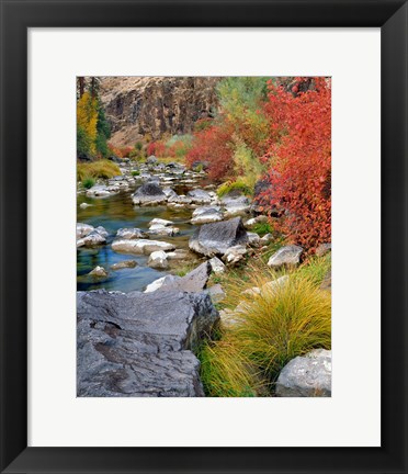 Framed Fall Colors Along The John Day River Print