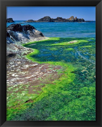 Framed Rock Formations And Algae At Seal Rock, Oregon Print