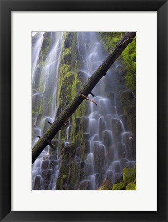 Framed Proxy Falls Over Basalt Columns, Oregon Print