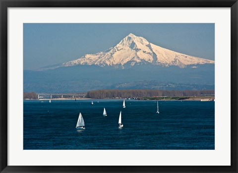 Framed Sailboats On The Columbia River, Oregon Print